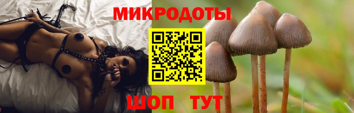 Псилоцибиновые грибы MAGIC MUSHROOMS  Вход с VPN  Котлас 